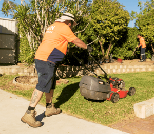 lawn maintenance