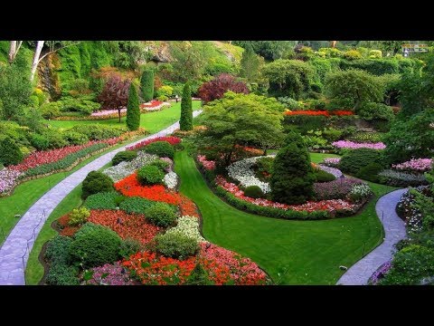 What Is Landscaping Design?