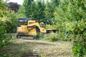 Land Clearing