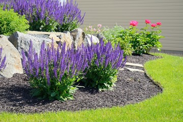 Creating A Lush Landscape With Expert Lawn Services