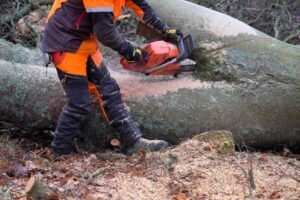 Emergency Tree Services Leeds