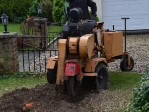 Stump Grinding Leeds