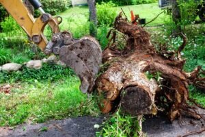 Site Clearance Leeds