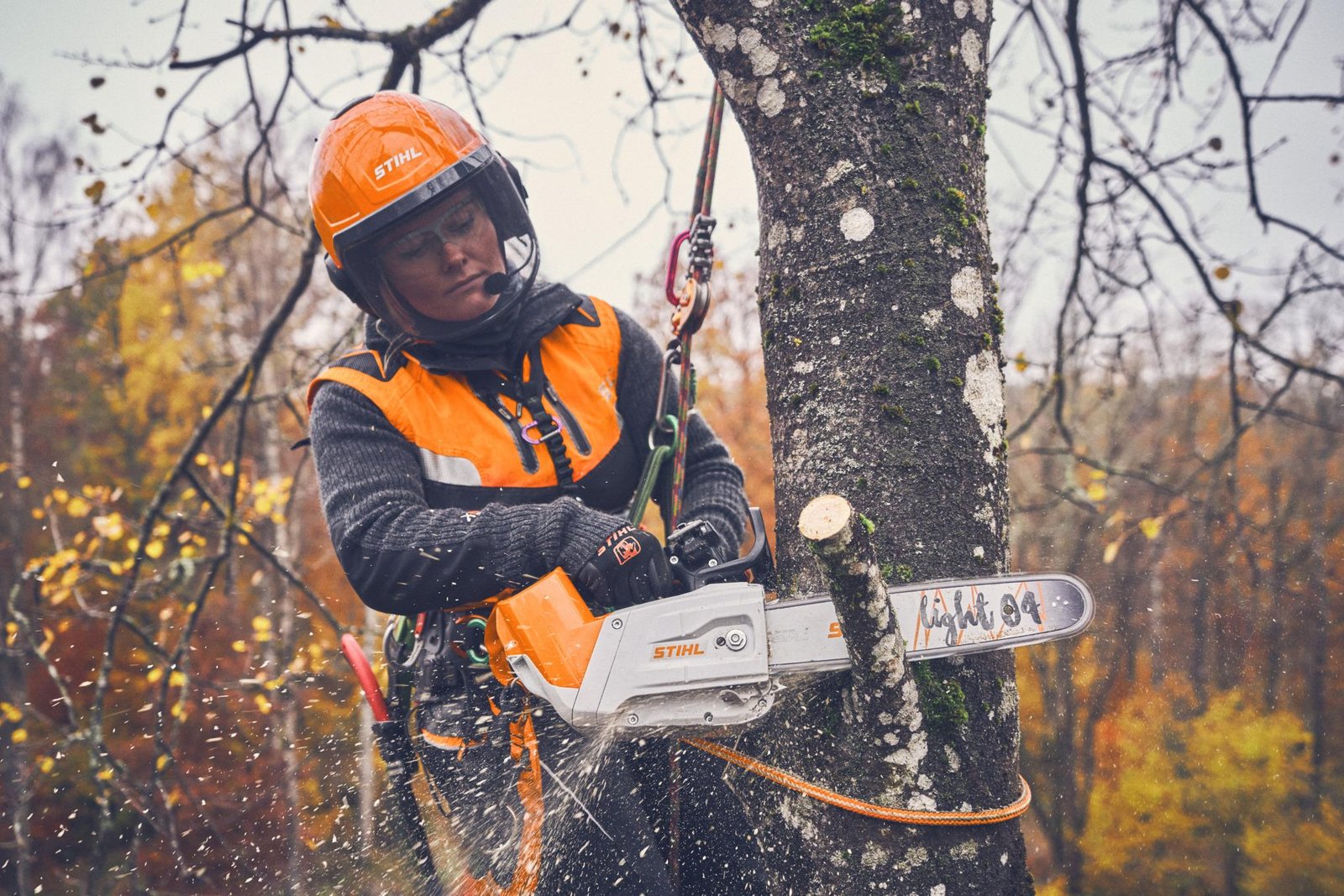 Tree Felling Leeds