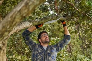 Tree Pruning Leeds