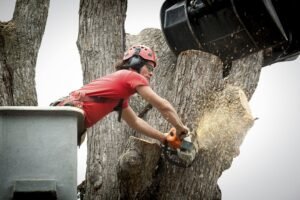 Tree Removal Leeds