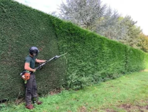 Hedge Trimming Leeds