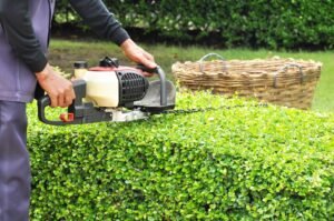 Hedge Trimming Leeds