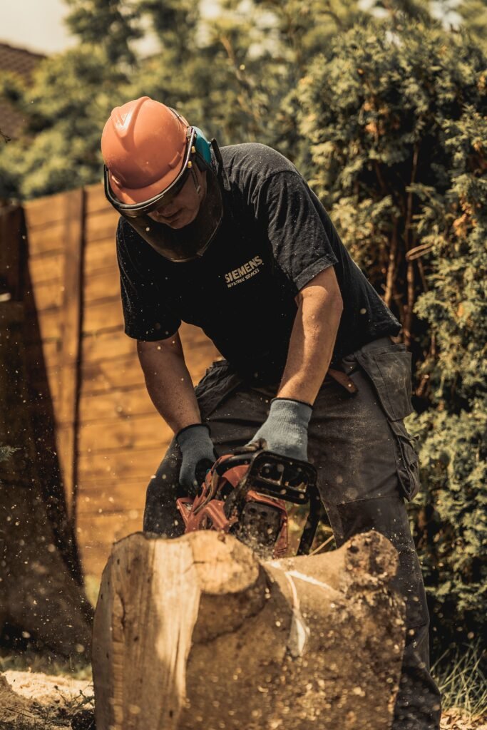 Tree Surgeons Leeds