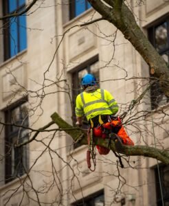 Crown Thinning Leeds