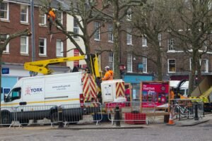Crown Thinning Leeds